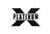 PLATINUM X